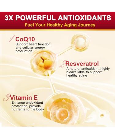 ZEBORA CoQ10-300mg with Trans-Resveratrol, PQQ & Vitamin E - High Absorption Coenzyme-Q10 with BioPerine - Powerful Antioxidant for Heart & Energy-Production,120 Veggie Capsules - Buy Online on GoSupps.com