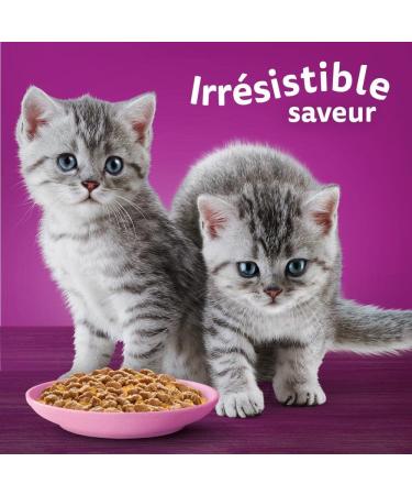 WHISKAS Kitten Meal 48 Fresh Sachets (Pack of 4 Packs 12 x 85g) Poultry Feasts (4 Varieties) Junior Cat Food in Jelly - Buy Online on GoSupps.com
