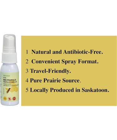 Bee Propolis Throat Spray Alcohol Free 30ml Soothing Immune Support From Prairies saskatchewan. pack of 1 - Buy Online on GoSupps.com