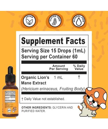 Renude Lion's Mane Liquid Extract - Mushroom Tincture Lions Mane Drops Supplement for Brain & Immune Support Promotes Focus & Memory Superfood Elixir for Men & Women Alcohol Free Vegan - 2 oz - Buy Online on GoSupps.com