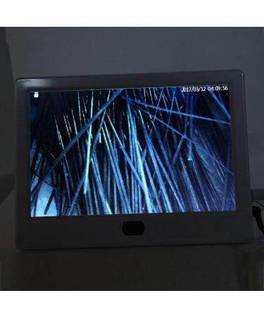 Scalp Detector Multifunctional Rechargeable 110-240V 13 Inch Hair Skin Detector Scalp Detector for Salon for Home (US Plug 100 240V) - Buy Online on GoSupps.com