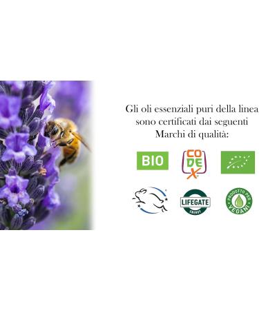  Flora Flora Lingerie Lavender Organic Body Wash 250 ml - Buy Online on GoSupps.com