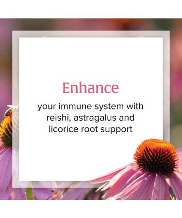 Natural Factors Anti-V Formula with Echinamide 3.4 fl oz | Immune Support Supplement - Buy Online on GoSupps.com