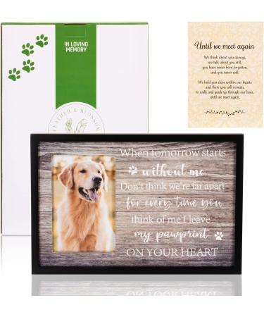 FEATHER & BLOSSOM Dog Memorial Picture Frame - Pet Remembrance Gift - Buy Online on GoSupps.com