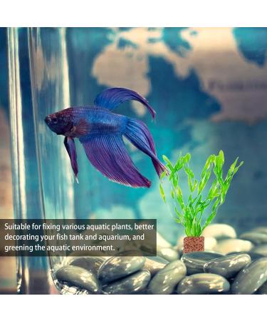 Buy Oseczmut Plant Weights & Anchors for Aquariums | Heavy-Duty Ring & Flower Pot Holder for Aquarium Landscapes - Buy Online on GoSupps.com