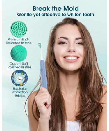 Sonic Electric Toothbrush for Adults - 6 Brush Heads, Holder, Travel Case, Type C Cable - Blue (1 Count) - Buy Online on GoSupps.com
