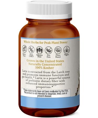 Eclectic Larix Caps with Glass Blue 100 Count Blue 100 count (Pack of 1) - Buy Online on GoSupps.com