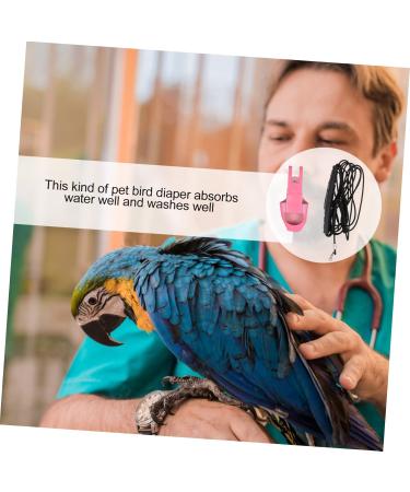 Angoily Parrot Flight Suit & Harness for Parakeets - Suede Size M & 4M - Shop Internationally - Buy Online on GoSupps.com