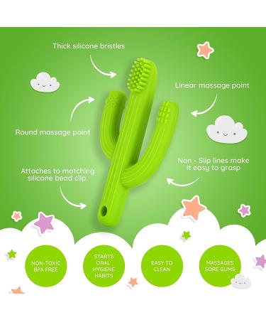Baby Cactus Teether - Infant Training Toothbrush in Green | Eco-Friendly Silicone Teething Toy - Buy Online on GoSupps.com