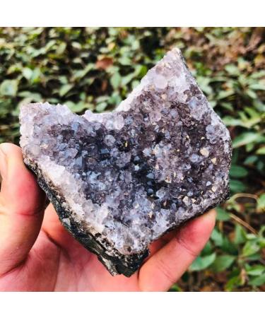 Natural Quartz Crystal Natural Clear and Purple Quartz Crystal Amethyst Cluster Specimen Stone 60G-500G Home Office Decor ningxiao (Color : 172g-190g 1pc)