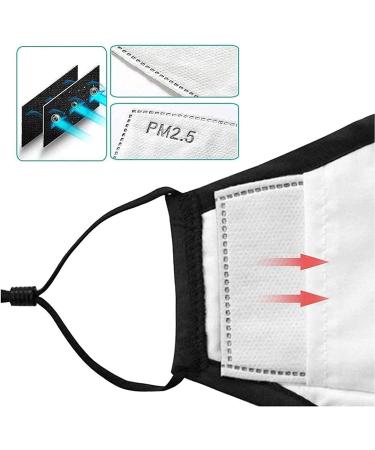 100pcs PM 2.5 Activated Carbon Filters - Replaceable Anti Haze Filters - 5 Layers Meltblown Non-Woven Cloth - Buy Online on GoSupps.com