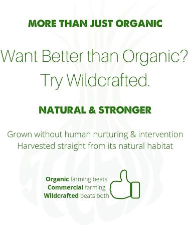 SpeedyVite Natural Blood Cleanser 2 fl oz Liquid Organic Supplement - Buy Online on GoSupps.com