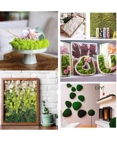 9 OZ Preserved Moss - Natural Live & Fake Moss for Potted Plants, Terrariums, Gardening, Art, Vase Fillers, Craft Floral Wall, Wedding Decor - Green, Purple, Pink - Buy Online on GoSupps.com