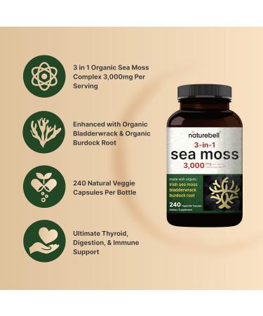 Irish Sea Moss Capsules 3,000mg Per Serving 240 Veggie Pills | Made with Organic Raw Powder Plus Bladderwrack & Burdock Root Sea Vegetable Complex Immune & Thyroid Superfood Support Non-GMO - Buy Online on GoSupps.com