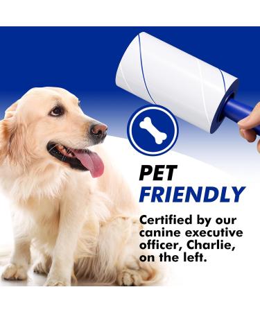 1200 Sheets Lint Roller Set - 6 Upgraded Handles & 6 Refills | Best Pet Hair Remover for Clothes Furniture & Carpets - Portable & Effective - Buy Online on GoSupps.com