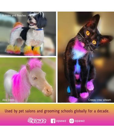 OPAWZ Strawberry Red Dog Hair Dye - Non-Toxic Food-Grade Pigment for Pets - Buy Online on GoSupps.com