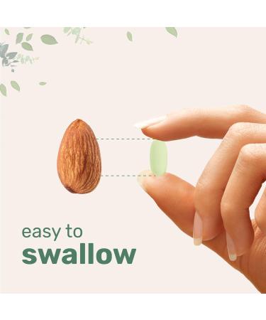 Micro Ingredients Moringa Oleifera 1000mg 240 Caplets - Whole Leaf Extract Green Superfood Supplement | Non-GMO, Gluten-Free | 240 Count Pack - Buy Online on GoSupps.com