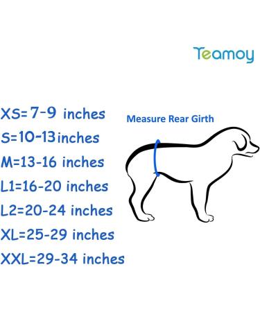 Teamoy Reusable Male Dog Diapers, Washable Belly Bands for Small Dogs (Pack of 3) - Black, Gray, Lake Blue - Buy Online on GoSupps.com