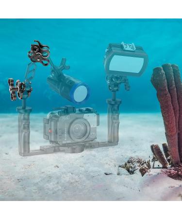 Seafrogs 1'' Aluminum Ball Clamp Mount CP-3 for Underwater Diving Light - 360 Degree Clip Adapter Bracket - Buy Online on GoSupps.com