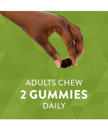 Natures Way Chlorophyll Gummies - Healthy Skin & Body Detox - Orchard Fruit Flavored | 60 Gummies - Buy Online on GoSupps.com