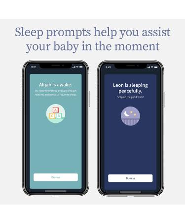 Owlet Dream Duo: Dream Sock Baby Monitor and HD Camera Mint - Buy Online on GoSupps.com