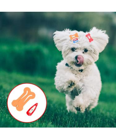 Yaodhaod 20 Pcs Cute Multi-Colored Dog Hair Accessories - Small Bone & Water Drop Hairpins for Dogs Cats & Pets - Buy Online on GoSupps.com