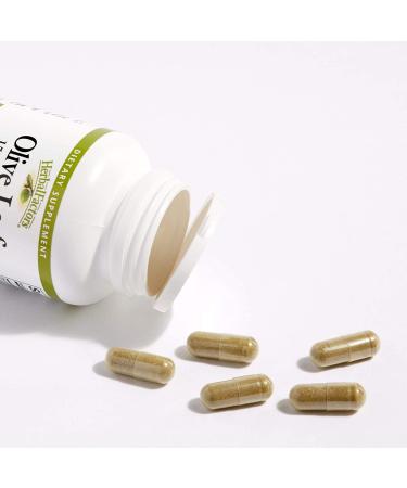 Natural Factors Olive Leaf Extract 500mg - 60 Capsules | Immune Support & Antioxidant - Buy Online on GoSupps.com