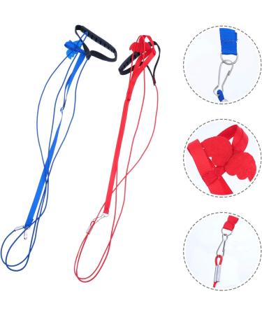 2pcs Harness Adjustable Bird Blue Leash Conure Lovely Traction Wing Training Conical with Pet for S Assorted Color - Buy Online on GoSupps.com