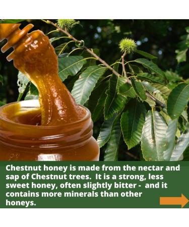 Luisa s Organic Raw Creamed Chestnut Honey |Antibacterial |Unpasteurised |Single Origin |The Raw Honey Shop |(960g) - Buy Online on GoSupps.com