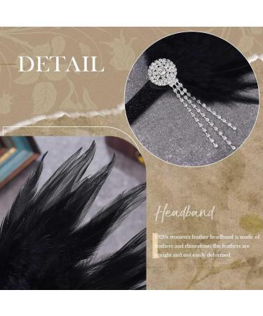 Handcess 1920s Feather Flapper Headband Black Crystals Feather Headband Women's Vintage Flapper Headpiece 20's Theme Cocktail Hair Accessories for Costume Prom Carnival Theme Party - Buy Online on GoSupps.com