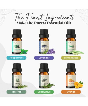 Top 6 Essential Oils Set for Aromatherapy - Eucalyptus Lavender Orange Peppermint Tea Tree (10ml) - Ideal for Diffusers Humidifiers Candle Making - Perfect Home Gift - Buy Online on GoSupps.com