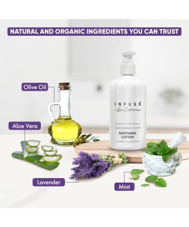Terra Pure Infuse Lavender Mint Lotion | Spa Collection Hotel Amenities | 10.14 oz Pump Bottle | Buy Online Globally - Buy Online on GoSupps.com