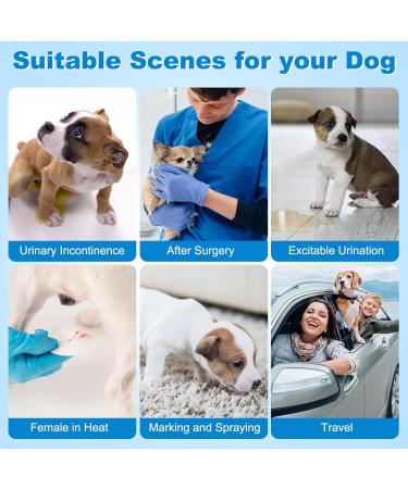 Pack of 15 Disposable Dog Diapers for Female & Male Dogs - Stretchy Waistband Size 34-54 cm - Large - Buy Online on GoSupps.com