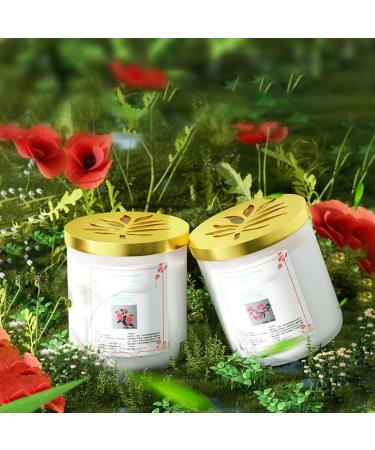 Buy Car Air Freshener Diffuser - Long Lasting Fragrance & Deodorizer for Cars & More | 9658A - Buy Online on GoSupps.com
