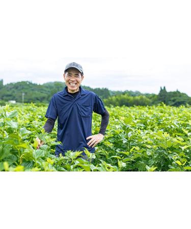 Delish Organics Mulberry Leaf Tea 60 Bags - Natural Carbohydrate Blocker - Organic JAS Certified (Made in Japan) - Buy Online on GoSupps.com