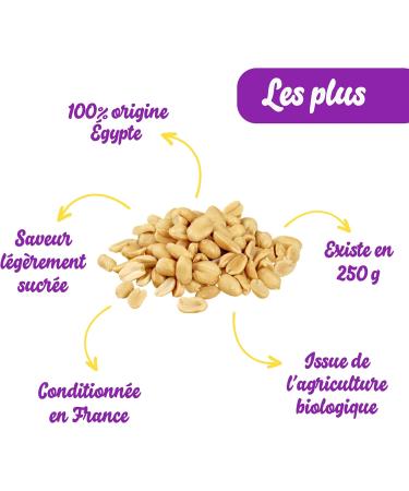 Organic Salted Roasted Shelled Peanuts 500g | 100% Natural Peanuts | Jumbo Peanuts | Healthy & Energizing Snack | S - Buy Online on GoSupps.com