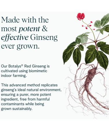 Ora Organic - Stress Relief Supplement - Supports Mood & Mental Focus - Feel Calm & Relaxed - Sensoril Ashwagandha Saffron Ginseng L-Theanine Lemon Balm - 60 Capsules - Buy Online on GoSupps.com