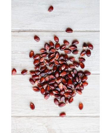 Amish Country Red Popcorn Kernels - 6 lbs Bag | Non-GMO, Gluten Free, Old Fashioned - Buy Online on GoSupps.com