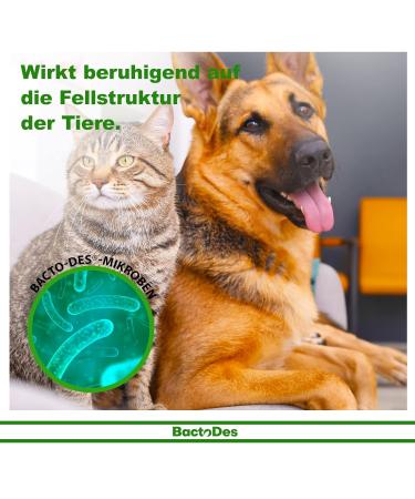 BACTODES 3IN1 Spray for Dogs & Cats - Argan Oil Skin Care Neutralizer 200ml | International Shipping Available - Buy Online on GoSupps.com