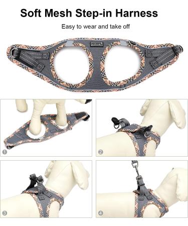 Doramio Small Dog Harness with Leash - Reflective Breathable Anti-Pull Safety Harness for Small Dogs & Cats - Perfect for Step-In Use (Gray Size S) - Buy Online on GoSupps.com