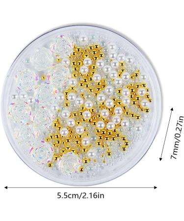 Heart Nail Rhinestones Nail Ornament White Auroras Transparent Illusions Three Dimensionals Resin Rose Ornament Short Clear Press on Nails 1 count (Pack of 1) SL1 - Buy Online on GoSupps.com