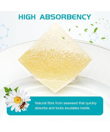 Buy Manuka Honey Calcium Alginate Wound Dressing | Medical Grade Wound Care Bandages - 2x2 Pack of 10 - High Absorbency - Buy Online on GoSupps.com