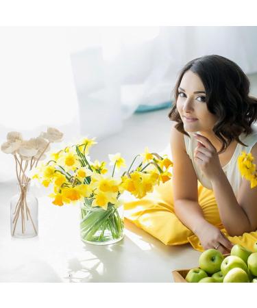 Housoutil Reed Diffuser Sticks - Replacement Aroma Sticks for Essential Oil & Room Fragrance | 8 Rattan & Wooden Refill Sticks - Buy Online on GoSupps.com