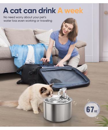 oneisall Stainless Steel Cat Water Fountain - Quiet & Automatic 2L Pet Drinking Fountain for Cats and Dogs - Silver - Buy Online on GoSupps.com