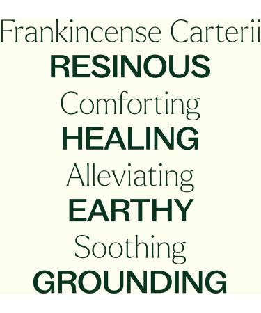 Plant Therapy Frankincense Carterii Essential Oil 100% Pure Undiluted Natural Aromatherapy Therapeutic Grade 100 mL (3.3 oz) Unscented 1 Fl Oz (Pack of 1) - Buy Online on GoSupps.com