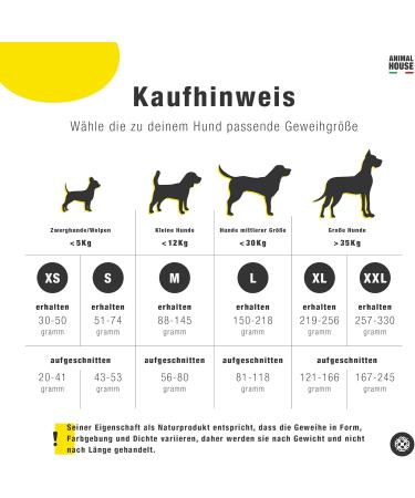 Animal House Shared Deer Antler for Dogs | 100% Natural Causnack | Durable Resistant Mouth Hygiene | Available in All Sizes (XL) - 1 Piece Pack - Buy Online on GoSupps.com