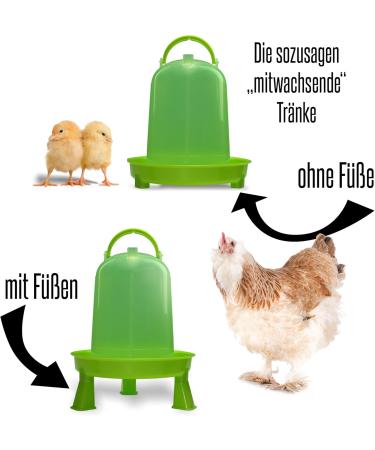 5L Automatic Chicken Water Dispenser & Poultry Drinks | 1.5L 3L 8L Options | Essential Chicken Accessories - Buy Online on GoSupps.com