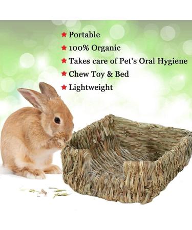 ANCLLO Portable Grass Bed Hand-Made Guinea Pig Grass Bed Play Bed for Chinchillas Rabbits and Other Small Animals - Buy Online on GoSupps.com