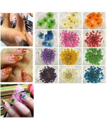 XICHEN 120 PCS 3D Nail Stickers - Five Flower Dried Flower Applique for Nail Art - Buy Online on GoSupps.com