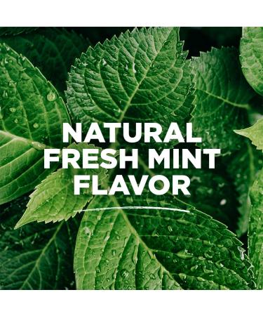 Tom's of Maine Natural Toothpaste & Mouthwash Variety Pack | Fluoride, Peppermint & Fresh Mint - 3-Pack - Buy Online on GoSupps.com